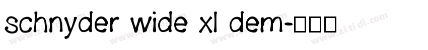 schnyder wide xl dem字体转换